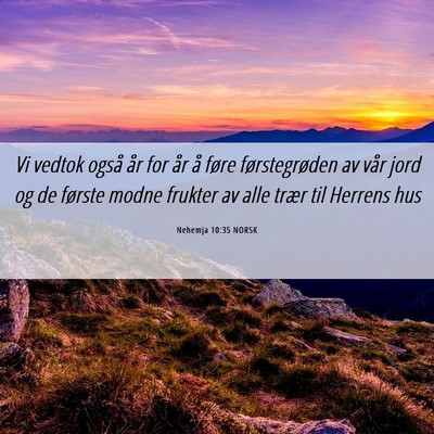 Picture 06 - Nehemja 10:35 NORSK - Vi vedtok også år for år å føre - Bible Verse Picture