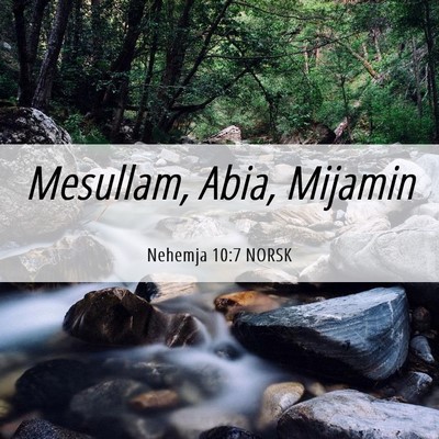 Picture 06 - Nehemja 10:7 NORSK - Mesullam, Abia, - Bible Verse Picture