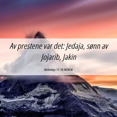 Picture 06 - Nehemja 11:10 NORSK - Av prestene var det: Jedaja, sønn av Jojarib, - Bible Verse Picture