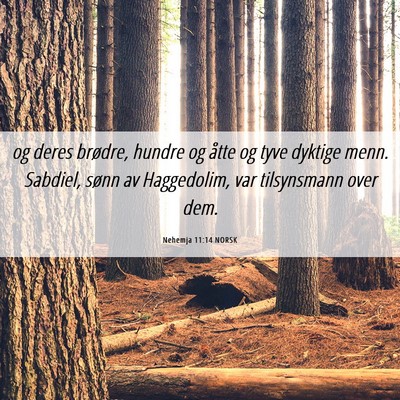 Picture 06 - Nehemja 11:14 NORSK - og deres brødre, hundre og åtte og tyve dyktige - Bible Verse Picture