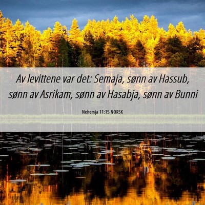 Picture 06 - Nehemja 11:15 NORSK - Av levittene var det: Semaja, sønn av Hassub, - Bible Verse Picture