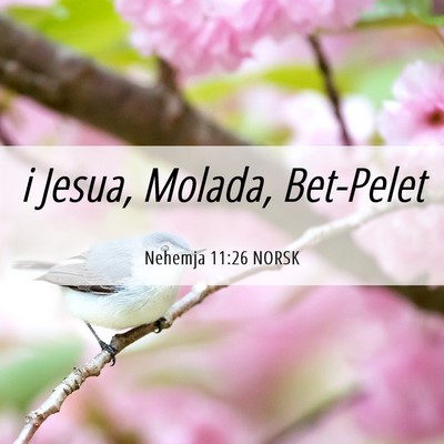 Picture 06 - Nehemja 11:26 NORSK - i Jesua, Molada, - Bible Verse Picture
