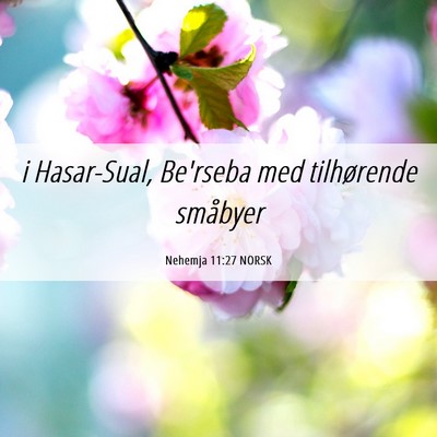 Picture 06 - Nehemja 11:27 NORSK - i Hasar-Sual, Be'rseba med tilhørende - Bible Verse Picture