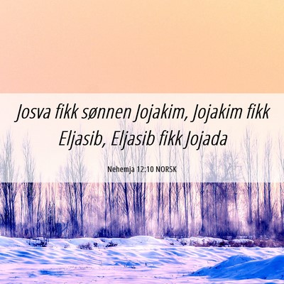 Picture 06 - Nehemja 12:10 NORSK - Josva fikk sønnen Jojakim, Jojakim fikk Eljasib, - Bible Verse Picture