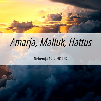 Picture 06 - Nehemja 12:2 NORSK - Amarja, Malluk, - Bible Verse Picture