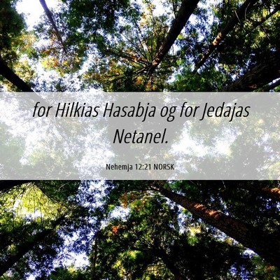 Picture 06 - Nehemja 12:21 NORSK - for Hilkias Hasabja og for Jedajas - Bible Verse Picture