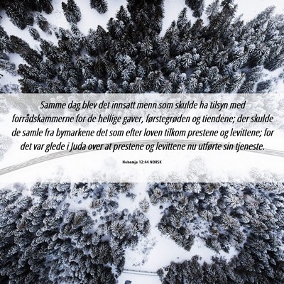 Picture 06 - Nehemja 12:44 NORSK - Samme dag blev det innsatt menn som skulde ha - Bible Verse Picture
