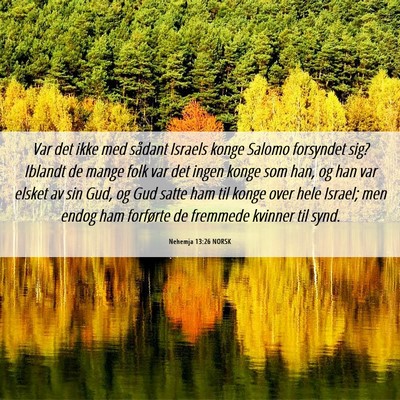Picture 06 - Nehemja 13:26 NORSK - Var det ikke med sådant Israels konge Salomo - Bible Verse Picture