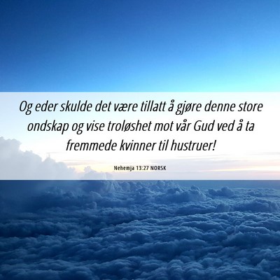 Picture 06 - Nehemja 13:27 NORSK - Og eder skulde det være tillatt å gjøre denne - Bible Verse Picture