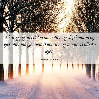 Picture 06 - Nehemja 2:15 NORSK - Så drog jeg op i dalen om natten og så på - Bible Verse Picture