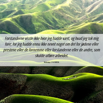 Picture 06 - Nehemja 2:16 NORSK - Forstanderne visste ikke hvor jeg hadde vært, og - Bible Verse Picture
