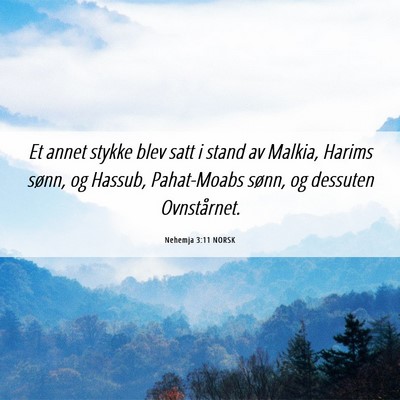 Picture 06 - Nehemja 3:11 NORSK - Et annet stykke blev satt i stand av Malkia, - Bible Verse Picture