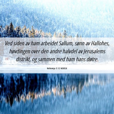 Picture 06 - Nehemja 3:12 NORSK - Ved siden av ham arbeidet Sallum, sønn av - Bible Verse Picture