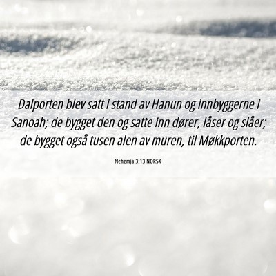 Picture 06 - Nehemja 3:13 NORSK - Dalporten blev satt i stand av Hanun og - Bible Verse Picture