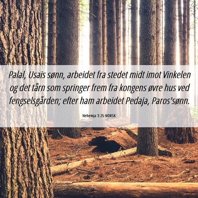 Picture 06 - Nehemja 3:25 NORSK - Palal, Usais sønn, arbeidet fra stedet midt imot - Bible Verse Picture
