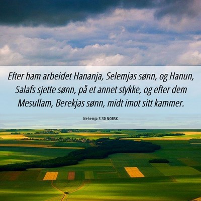 Picture 06 - Nehemja 3:30 NORSK - Efter ham arbeidet Hananja, Selemjas sønn, og - Bible Verse Picture