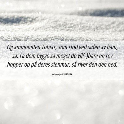 Picture 06 - Nehemja 4:3 NORSK - Og ammonitten Tobias, som stod ved siden av ham, - Bible Verse Picture