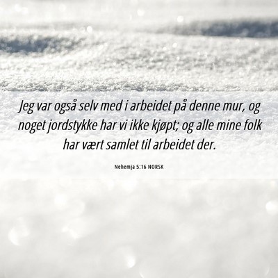 Picture 06 - Nehemja 5:16 NORSK - Jeg var også selv med i arbeidet på denne mur, - Bible Verse Picture