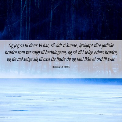 Picture 06 - Nehemja 5:8 NORSK - Og jeg sa til dem: Vi har, så vidt vi kunde, - Bible Verse Picture