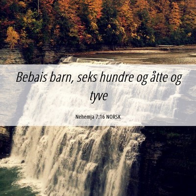 Picture 06 - Nehemja 7:16 NORSK - Bebais barn, seks hundre og åtte og - Bible Verse Picture