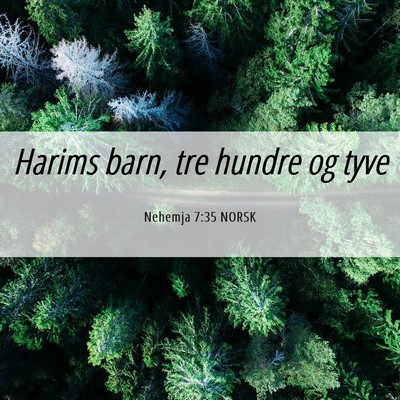 Picture 06 - Nehemja 7:35 NORSK - Harims barn, tre hundre og - Bible Verse Picture