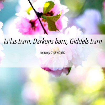 Picture 06 - Nehemja 7:58 NORSK - Ja'las barn, Darkons barn, Giddels - Bible Verse Picture
