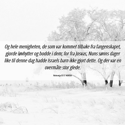 Picture 06 - Nehemja 8:17 NORSK - Og hele menigheten, de som var kommet tilbake fra - Bible Verse Picture
