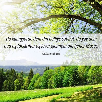 Picture 06 - Nehemja 9:14 NORSK - Du kunngjorde dem din hellige sabbat; du gav dem - Bible Verse Picture