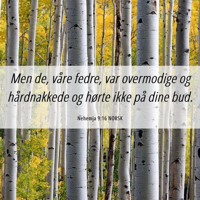 Picture 06 - Nehemja 9:16 NORSK - Men de, våre fedre, var overmodige og - Bible Verse Picture