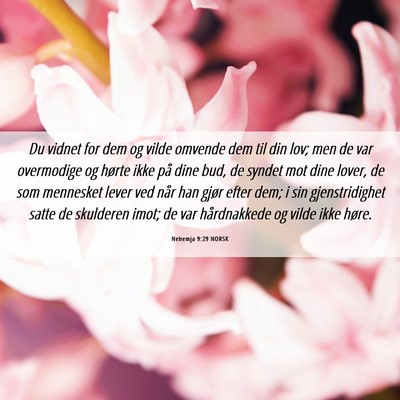 Picture 06 - Nehemja 9:29 NORSK - Du vidnet for dem og vilde omvende dem til din - Bible Verse Picture