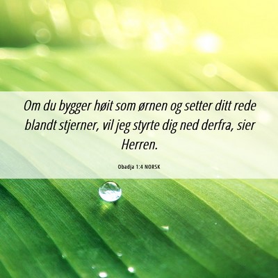 Picture 06 - Obadja 1:4 NORSK - Om du bygger høit som ørnen og setter ditt rede - Bible Verse Picture