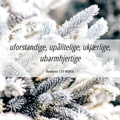 Picture 06 - Romerne 1:31 NORSK - uforstandige, upålitelige, ukjærlige, - Bible Verse Picture