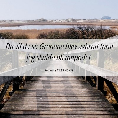 Picture 06 - Romerne 11:19 NORSK - Du vil da si: Grenene blev avbrutt forat jeg - Bible Verse Picture