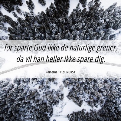 Picture 06 - Romerne 11:21 NORSK - for sparte Gud ikke de naturlige grener, da vil - Bible Verse Picture