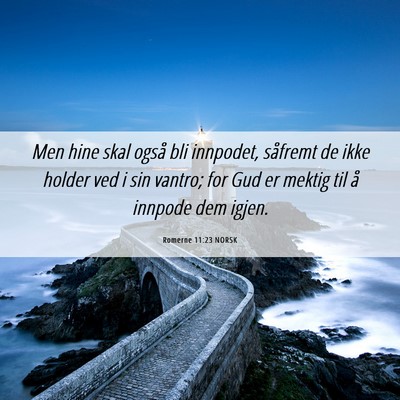 Picture 06 - Romerne 11:23 NORSK - Men hine skal også bli innpodet, såfremt de - Bible Verse Picture