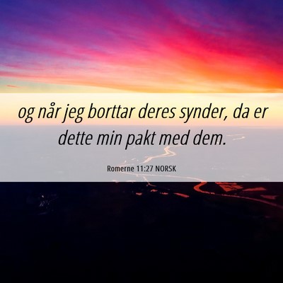 Picture 06 - Romerne 11:27 NORSK - og når jeg borttar deres synder, da er dette min - Bible Verse Picture