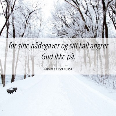 Picture 06 - Romerne 11:29 NORSK - for sine nådegaver og sitt kall angrer Gud ikke - Bible Verse Picture