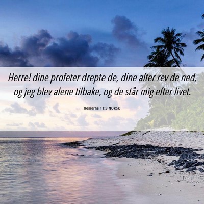 Picture 06 - Romerne 11:3 NORSK - Herre! dine profeter drepte de, dine alter rev de - Bible Verse Picture