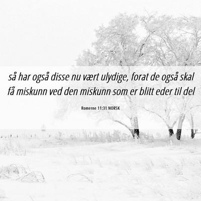 Picture 06 - Romerne 11:31 NORSK - så har også disse nu vært ulydige, forat de - Bible Verse Picture