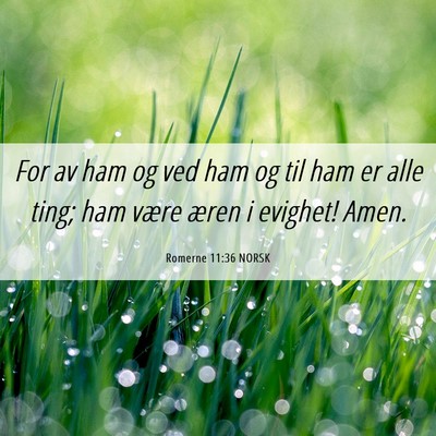 Picture 06 - Romerne 11:36 NORSK - For av ham og ved ham og til ham er alle ting; - Bible Verse Picture