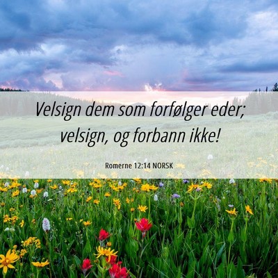 Picture 06 - Romerne 12:14 NORSK - Velsign dem som forfølger eder; velsign, og - Bible Verse Picture