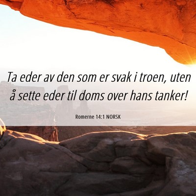 Picture 06 - Romerne 14:1 NORSK - Ta eder av den som er svak i troen, uten å sette - Bible Verse Picture