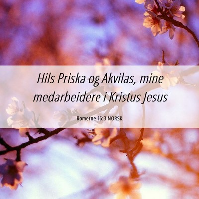 Picture 06 - Romerne 16:3 NORSK - Hils Priska og Akvilas, mine medarbeidere i - Bible Verse Picture