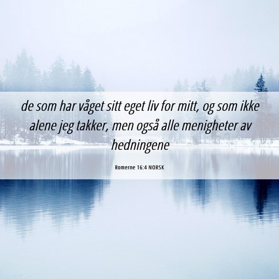 Picture 06 - Romerne 16:4 NORSK - de som har våget sitt eget liv for mitt, og som - Bible Verse Picture