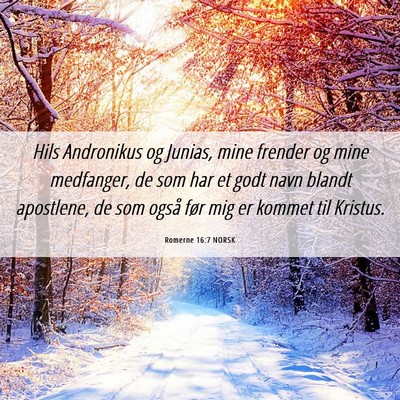 Picture 06 - Romerne 16:7 NORSK - Hils Andronikus og Junias, mine frender og mine - Bible Verse Picture