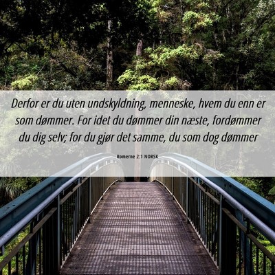 Picture 06 - Romerne 2:1 NORSK - Derfor er du uten undskyldning, menneske, hvem du - Bible Verse Picture
