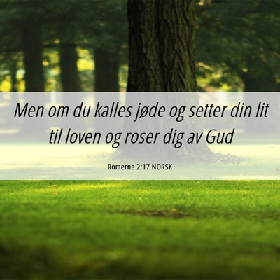 Picture 06 - Romerne 2:17 NORSK - Men om du kalles jøde og setter din lit til - Bible Verse Picture