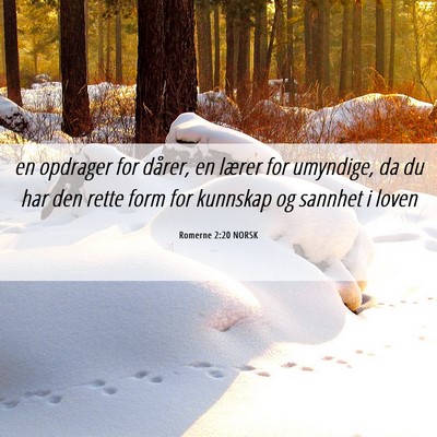 Picture 06 - Romerne 2:20 NORSK - en opdrager for dårer, en lærer for umyndige, - Bible Verse Picture