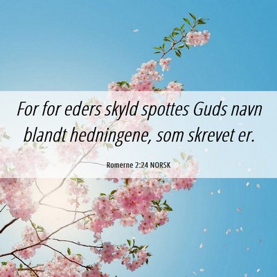 Picture 06 - Romerne 2:24 NORSK - For for eders skyld spottes Guds navn blandt - Bible Verse Picture
