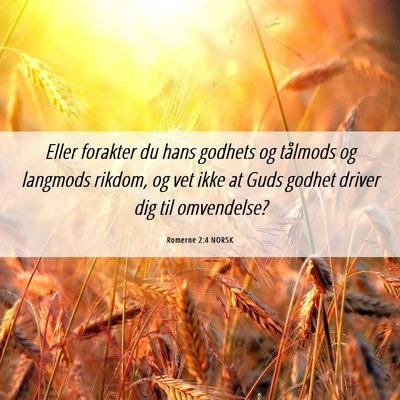 Picture 06 - Romerne 2:4 NORSK - Eller forakter du hans godhets og tålmods og - Bible Verse Picture